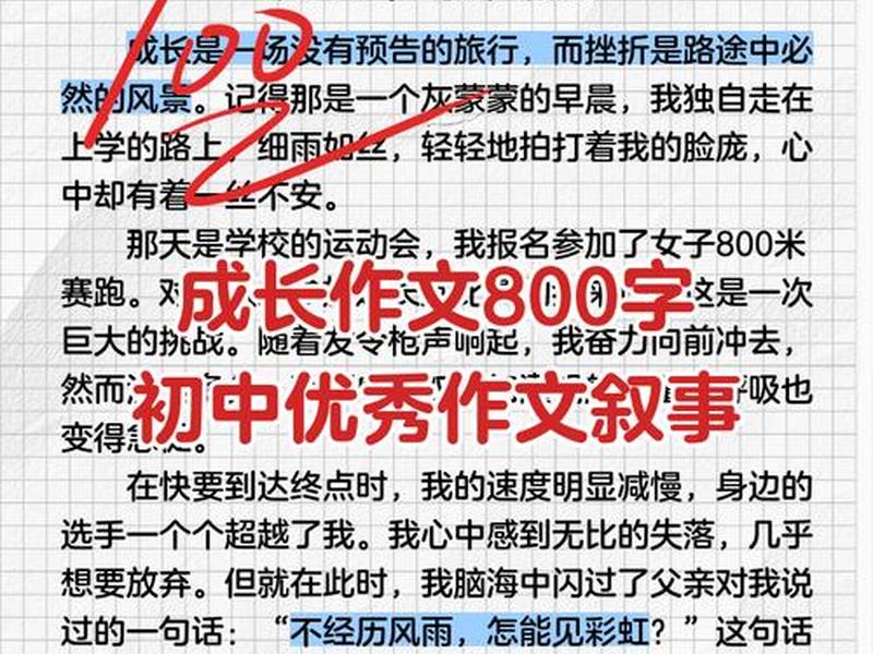从人际关系分析成长经历作文、从人际关系分析成长经历作文素材