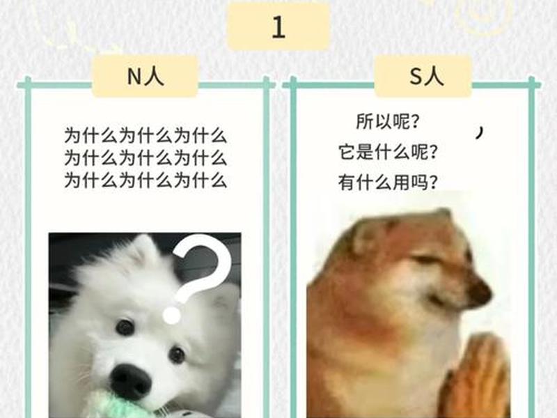 品格与人格 - 品格与人格的区别 品格与人格 - 品格与人格的区别