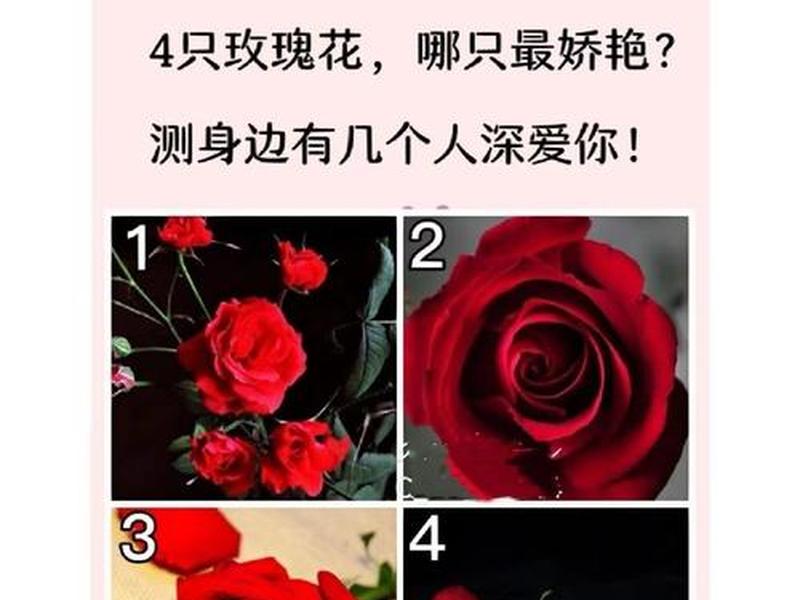 两人关系测试名典 名典测试两个人的关系 两人关系测试名典 名典测试两个人的关系