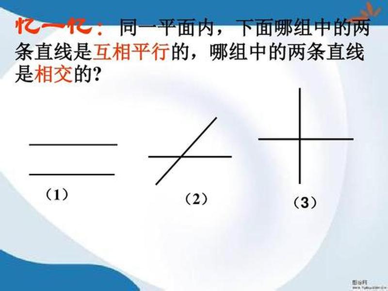 垂直关系和平行关系 - 垂直关系和平行关系一样吗