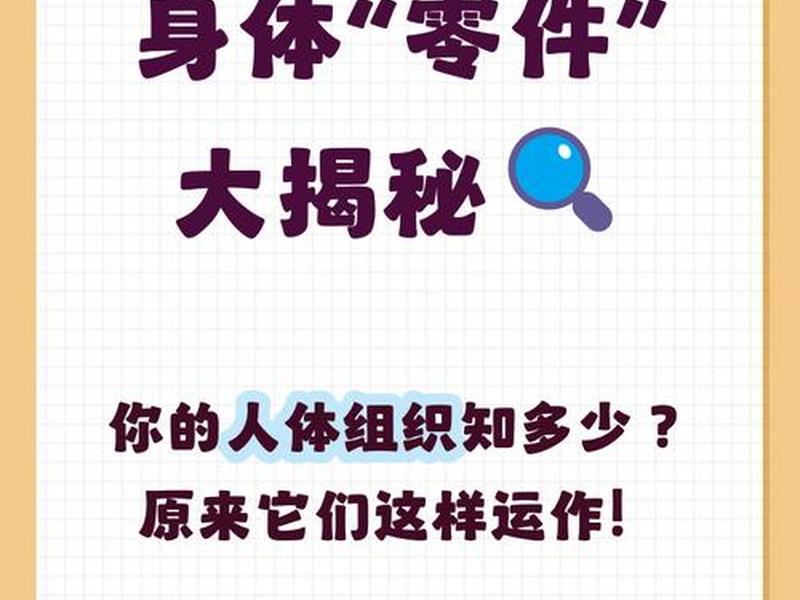 不属于人体基本组织的是;下列不属于人体四大基本组织的是 不属于人体基本组织的是;下列不属于人体四大基本组织的是