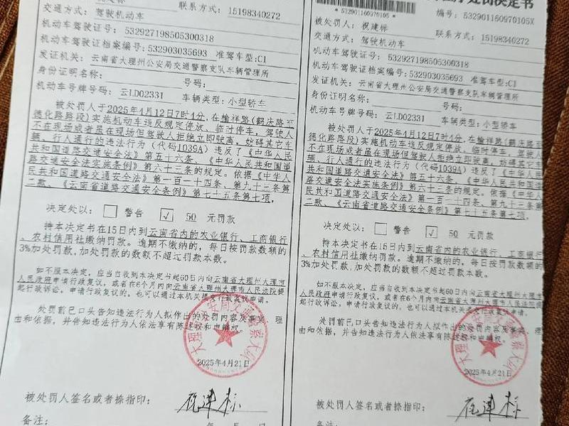 处理交通违法行为必须本人的规定 处理交通违法必须本人吗 处理交通违法行为必须本人的规定 处理交通违法必须本人吗