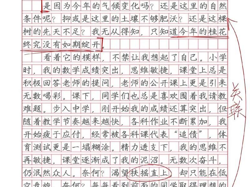 关于成长与期待的作文;关于成长与期待的作文800字 关于成长与期待的作文;关于成长与期待的作文800字