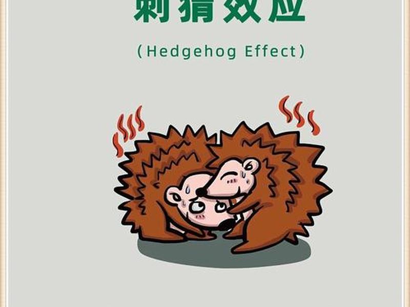 刺猬效应是什么意思(刺猬效应指什么意思) 刺猬效应是什么意思(刺猬效应指什么意思)