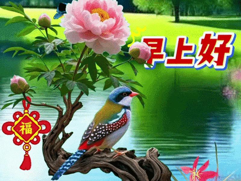 健康快乐的图片动态大全 健康快乐的图片动态大全大图 健康快乐的图片动态大全 健康快乐的图片动态大全大图