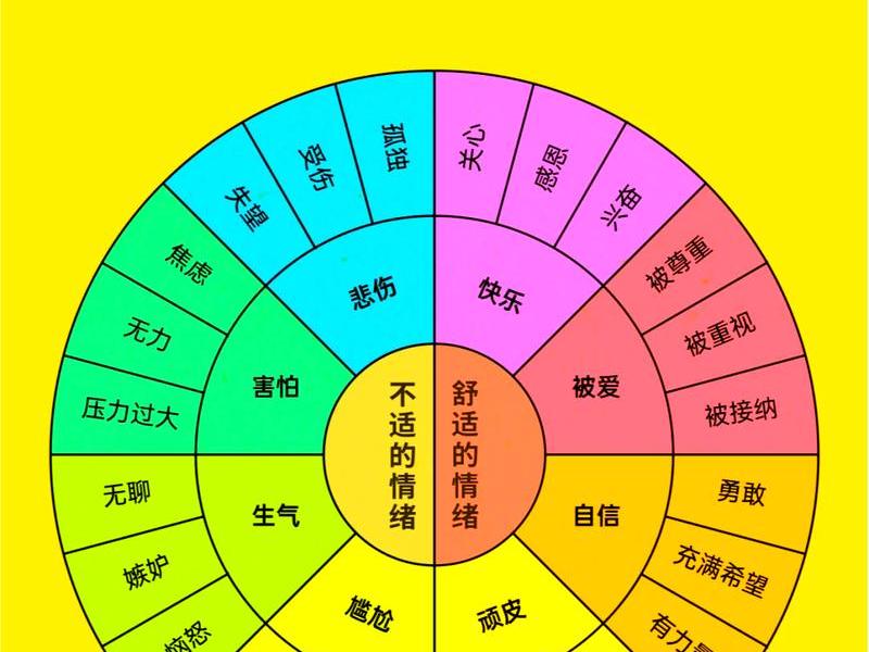 举例说明沙赫特情绪理论 - 举例说明沙赫特情绪理论的局限性 举例说明沙赫特情绪理论 - 举例说明沙赫特情绪理论的局限性