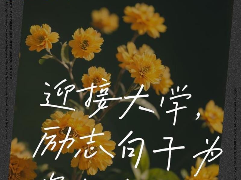 即将步入大学 即将步入大学的唯美句子 即将步入大学 即将步入大学的唯美句子