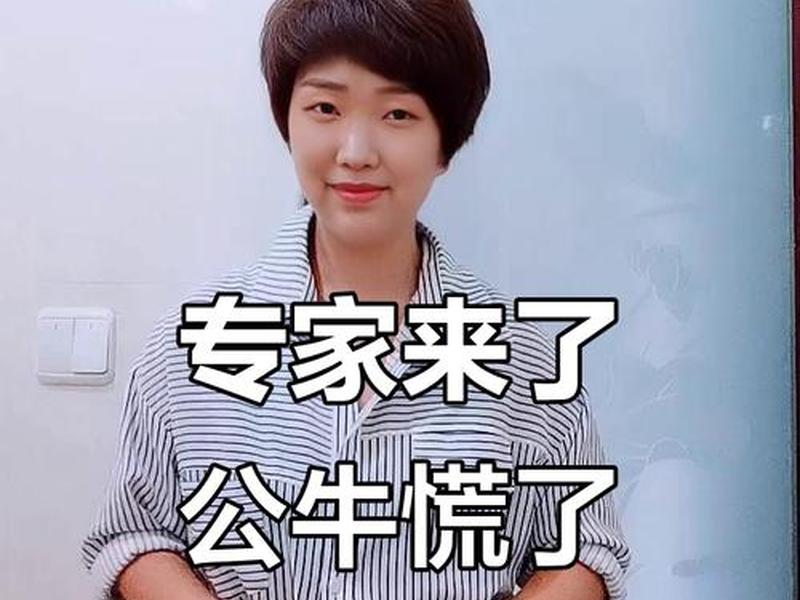 公牛对话(公牛对母牛说专家来了) 公牛对话(公牛对母牛说专家来了)