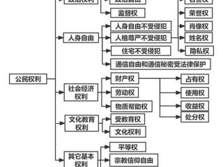 关系和权利 权利的相互关系