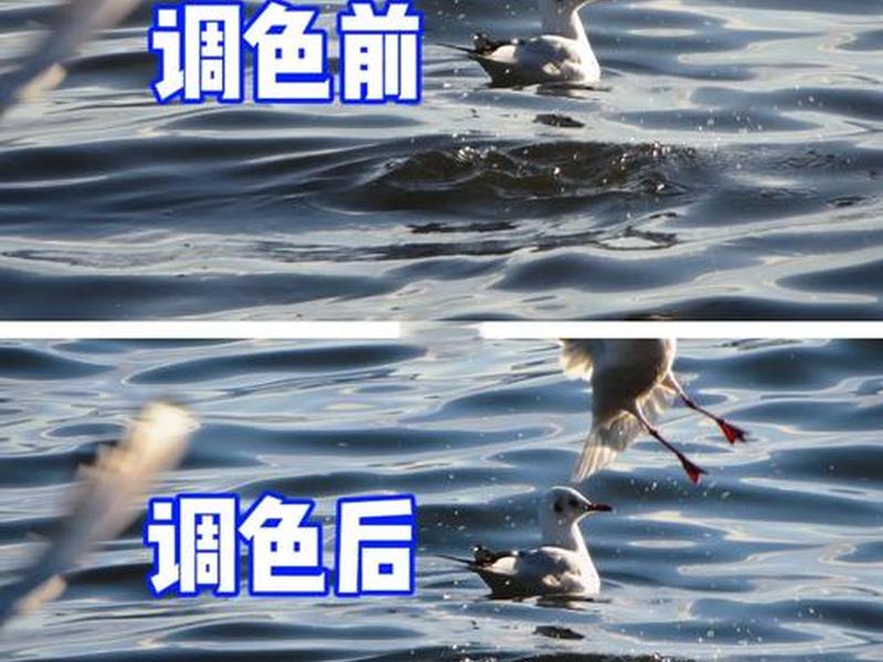 后期处理教程视频;摄影后期处理教程视频 后期处理教程视频;摄影后期处理教程视频