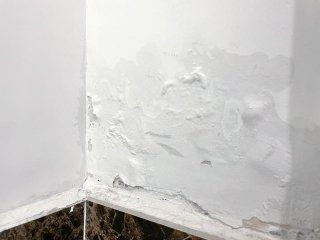 墙壁发霉怎么弄 墙壁发霉怎么弄掉