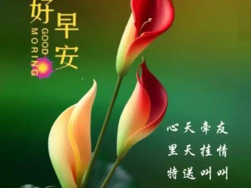 互相牵挂的句子、互相牵挂的句子简短 互相牵挂的句子、互相牵挂的句子简短