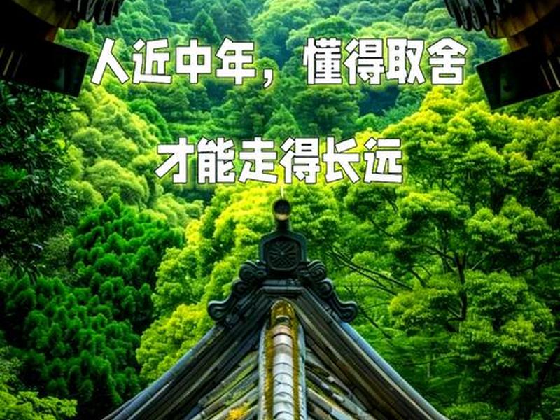人到中年要懂得断舍离 人到中年要懂得断舍离的句子 人到中年要懂得断舍离 人到中年要懂得断舍离的句子