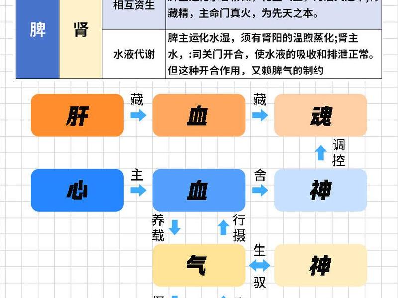 全科医患关系与人际关系、全科医患关系与人际关系的区别 全科医患关系与人际关系、全科医患关系与人际关系的区别