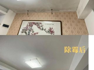 墙壁发霉怎么处理小巧、墙壁发霉怎么处理小巧一点