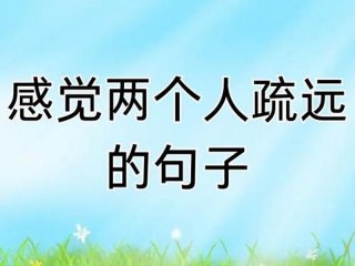 关于描写人际关系的句子（关于描写人际关系的句子摘抄）