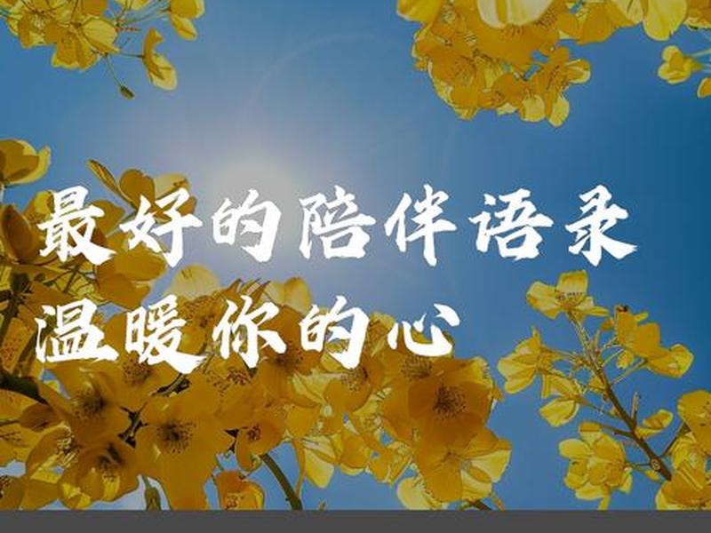 关于陪伴的重要的句子,关于陪伴的重要的句子摘抄 关于陪伴的重要的句子,关于陪伴的重要的句子摘抄