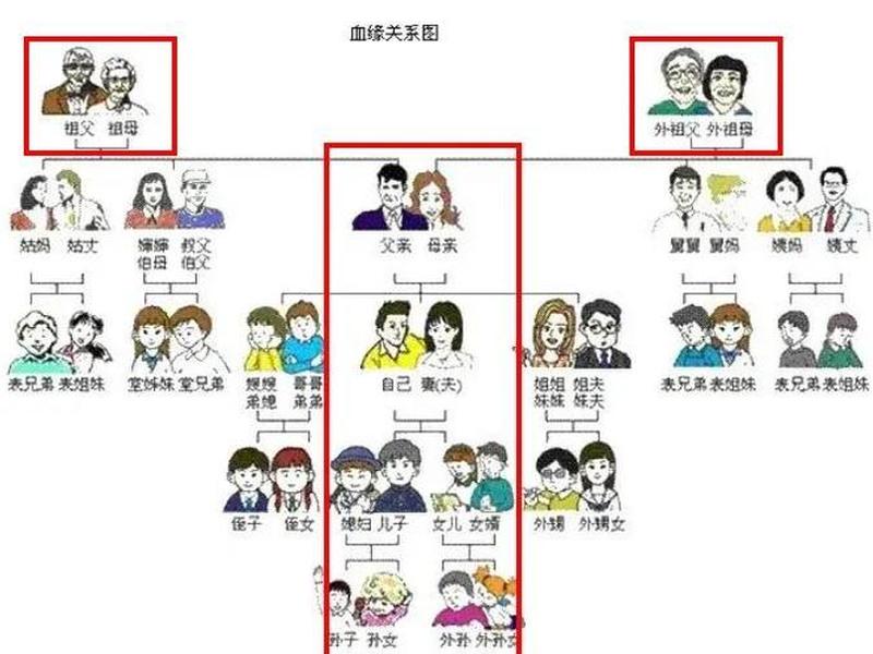 亲人血缘关系比例 亲人血缘关系比例是多少