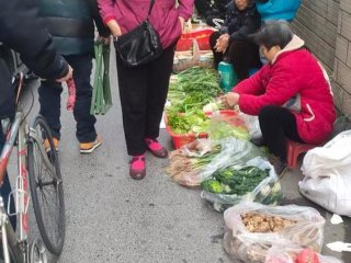 大理公共秩序现状，大理公共秩序现状调查