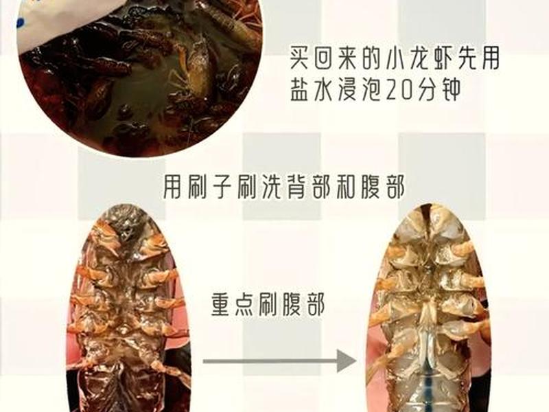 大龙虾怎么样清理详细过程 - 大龙虾怎么样清理详细过程图片 大龙虾怎么样清理详细过程 - 大龙虾怎么样清理详细过程图片