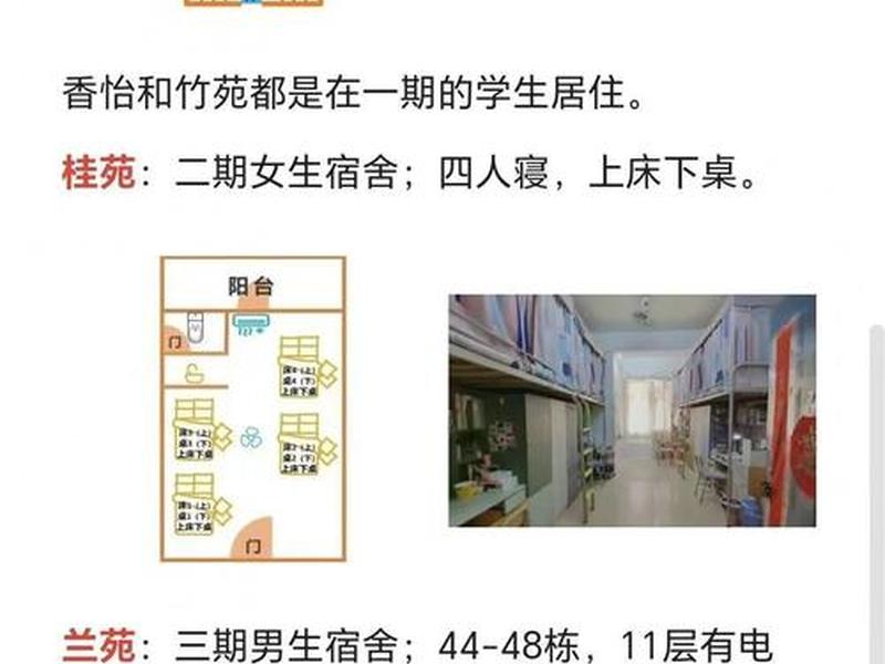 大学寝室人际关系图、大学寝室人际关系图片