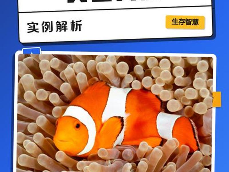 互利共生关系有哪些例子、互利共生关系有哪些例子和解释 互利共生关系有哪些例子、互利共生关系有哪些例子和解释