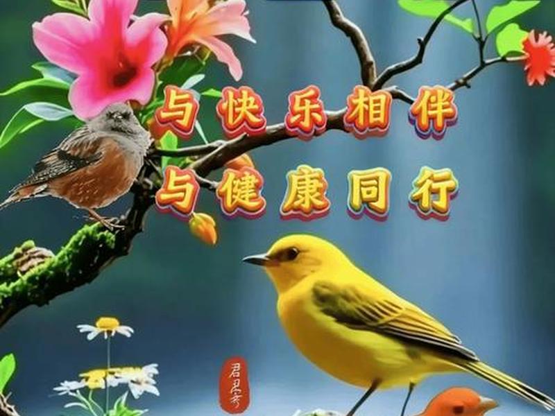 健康快乐幸福图片、健康快乐幸福祝福图片早上好 健康快乐幸福图片、健康快乐幸福祝福图片早上好