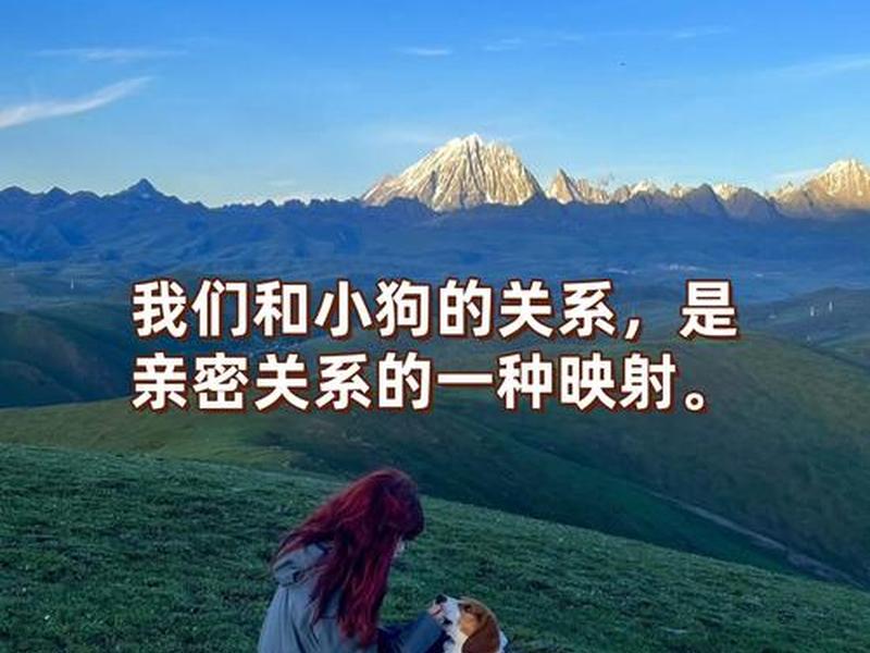 哪个动物跟人的感情最好(哪个动物跟人的感情最好相处) 哪个动物跟人的感情最好(哪个动物跟人的感情最好相处)