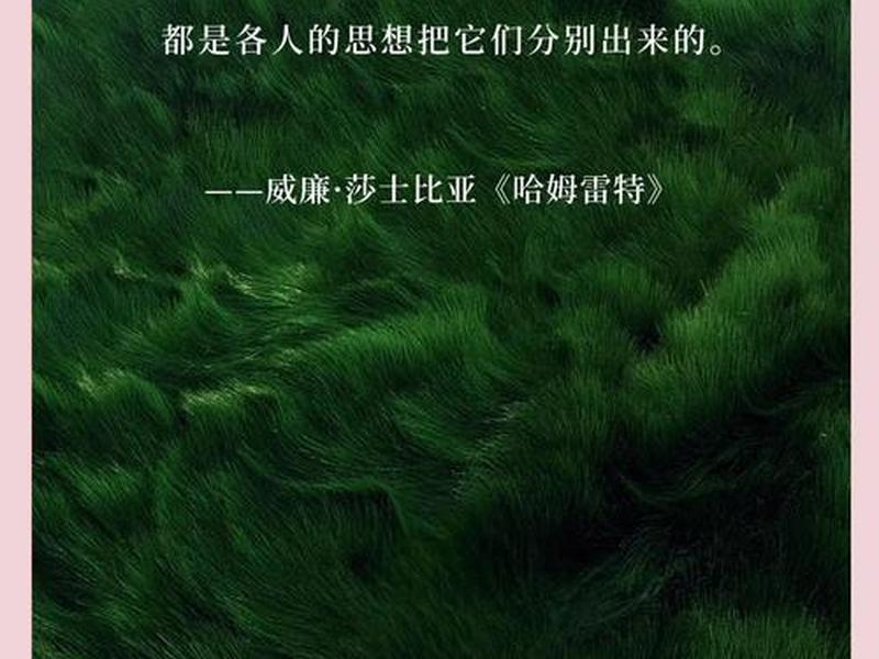 100个人就有100个哈姆雷特、100个人里就有100个哈姆雷特 100个人就有100个哈姆雷特、100个人里就有100个哈姆雷特