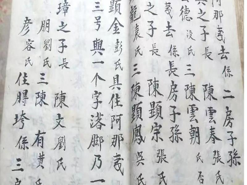 光绪后人 光绪后人网络语 光绪后人 光绪后人网络语