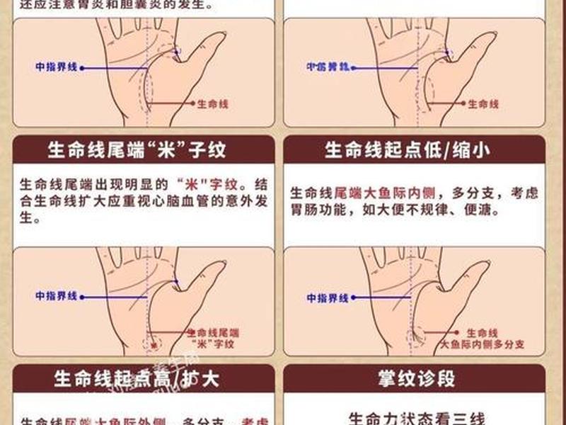 人的手掌中间那条线是什么线(手掌的中间是一条线什么意思) 人的手掌中间那条线是什么线(手掌的中间是一条线什么意思)