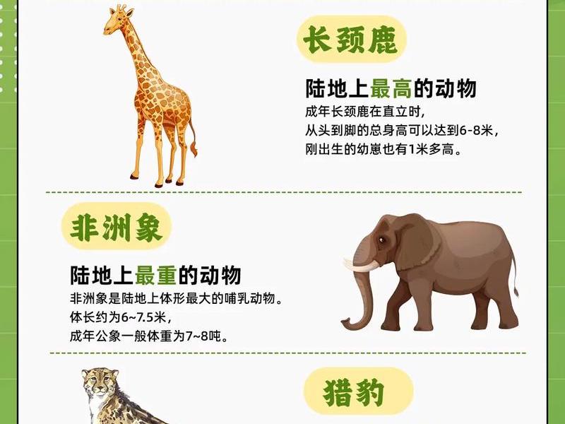 哪个动物交往次数最多 - 哪个动物交往次数最多呢 哪个动物交往次数最多 - 哪个动物交往次数最多呢
