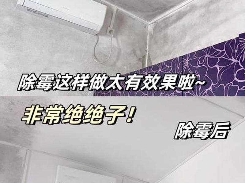 壁纸脱落墙壁发霉怎么处理、壁纸脱落墙壁发霉怎么处理视频 壁纸脱落墙壁发霉怎么处理、壁纸脱落墙壁发霉怎么处理视频