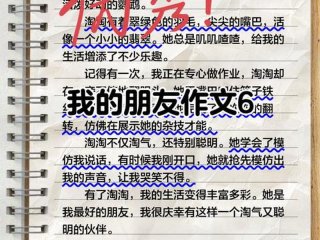 关于人际交往的日记、关于人际交往的日记怎么写