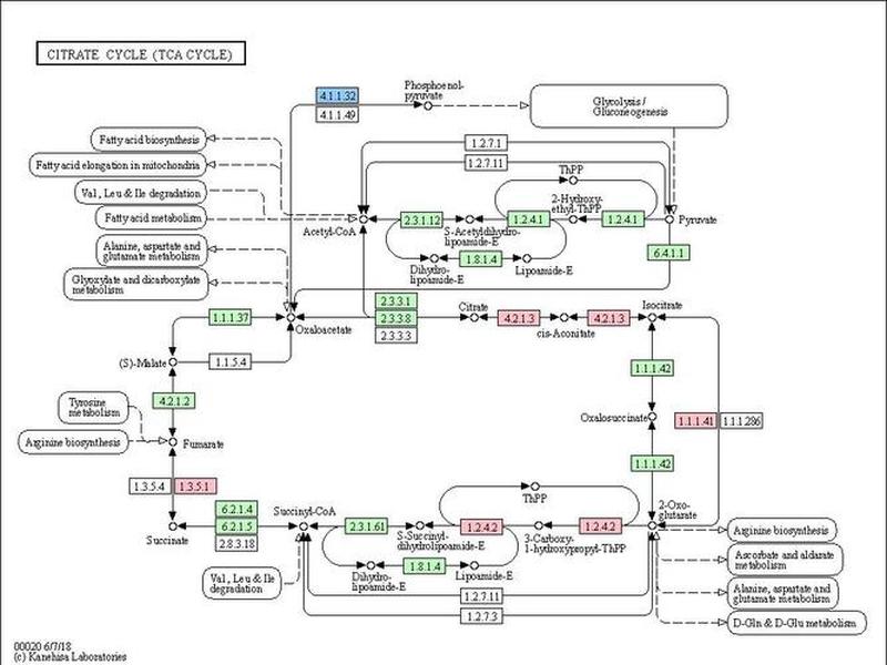 临床医学人脉关系;临床医学人脉关系分析 临床医学人脉关系;临床医学人脉关系分析