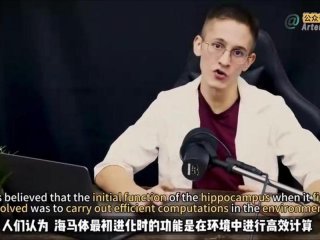ted人际关系；ted演讲关于人际关系