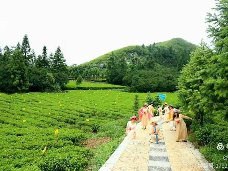 女子马帮茵茵,女子马帮茵茵叫什么 女子马帮茵茵,女子马帮茵茵叫什么