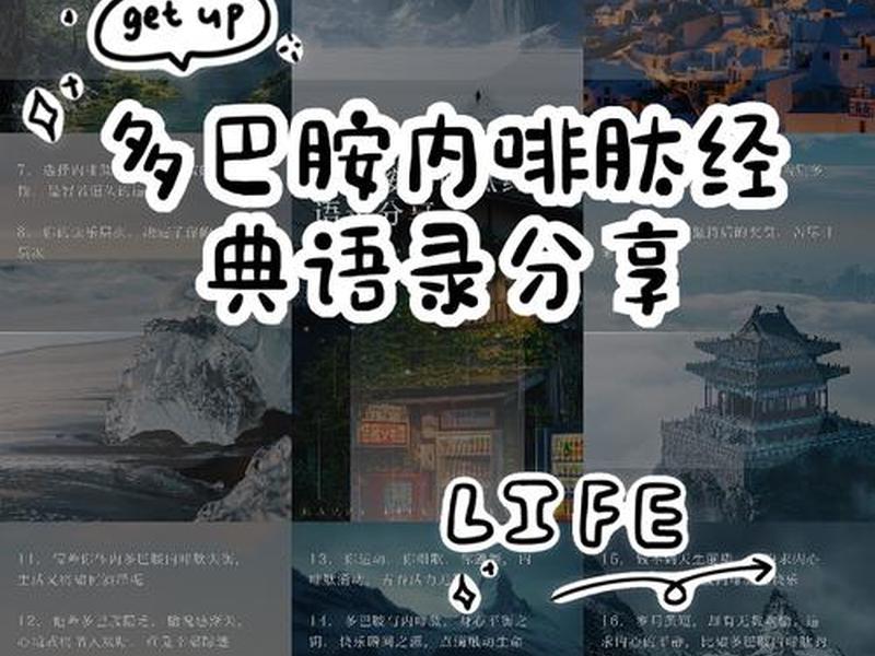 人到中年远离多巴胺靠近内啡肽、人到中年远离多巴胺靠近内啡肽的意思