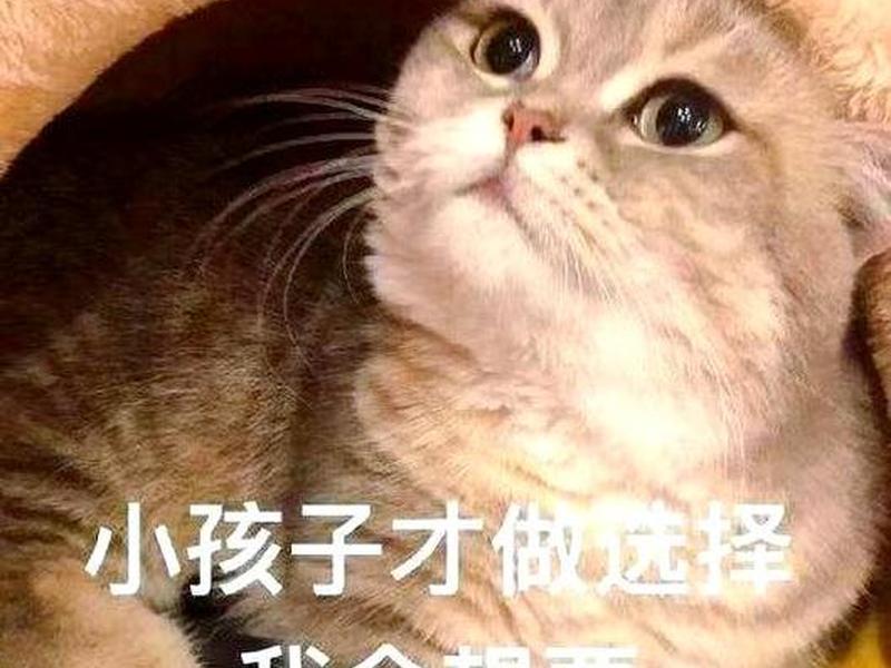 不要再纠结这个问题了英语(不用纠结这个问题) 不要再纠结这个问题了英语(不用纠结这个问题)