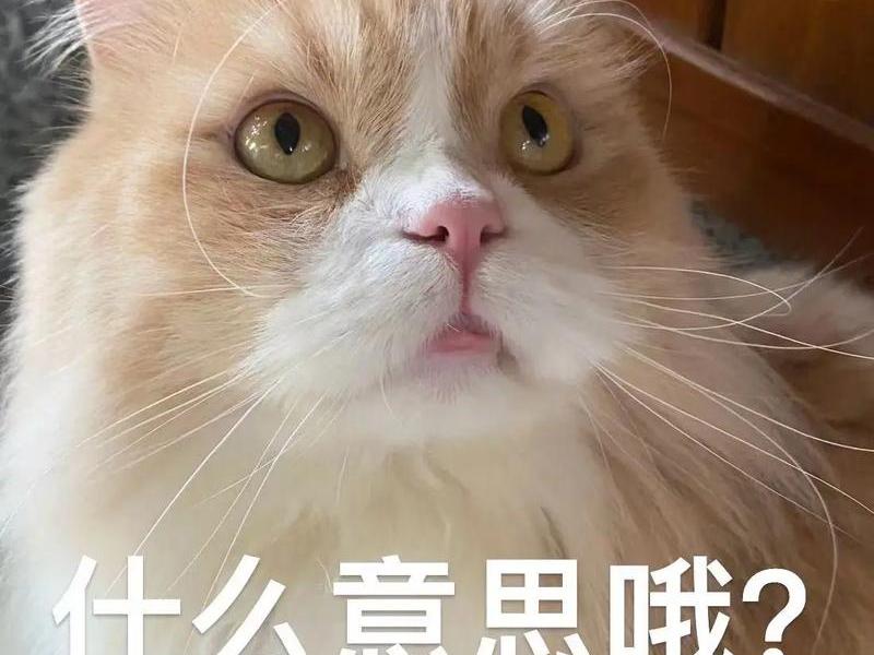 不懂的表情图、不懂的表情图片搞笑 不懂的表情图、不懂的表情图片搞笑