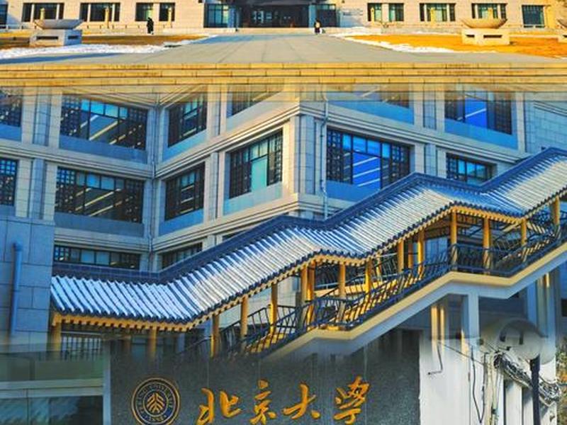 北大