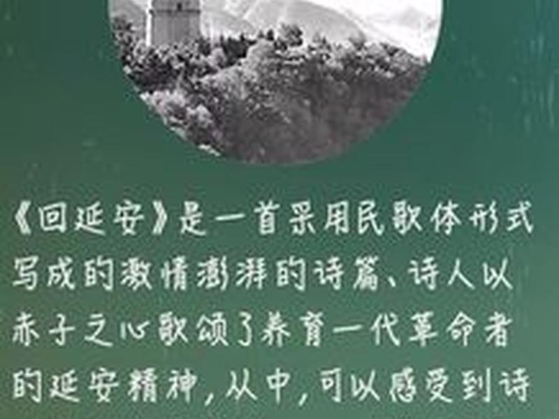 回延安的人际关系有哪些 回延安的人际关系有哪些方面