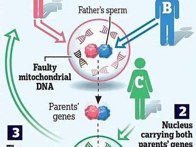 古希腊人基因j2a,古希腊人基因 古希腊人基因j2a,古希腊人基因