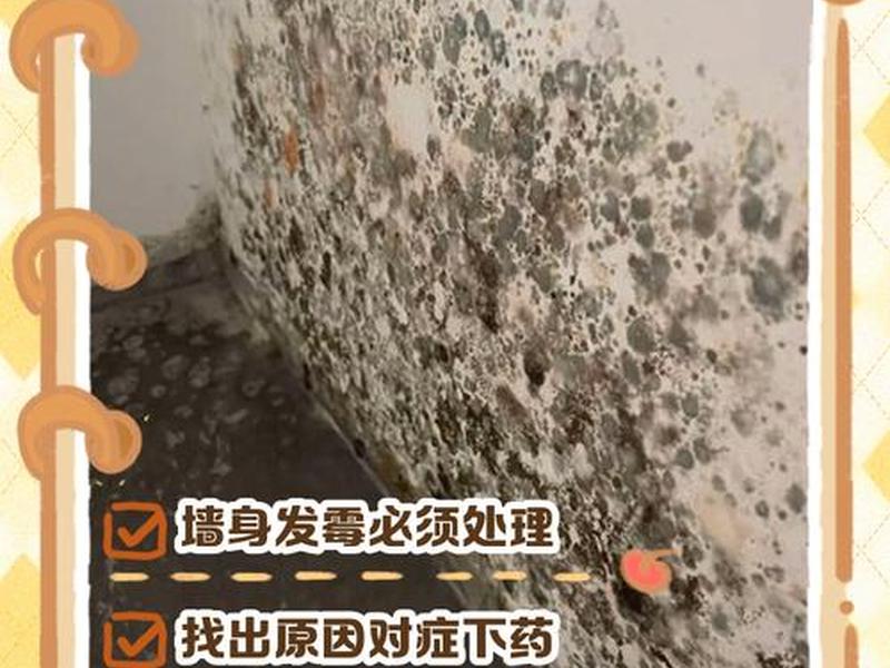 墙壁发霉的处理方法（墙壁发霉的处理方法视频）