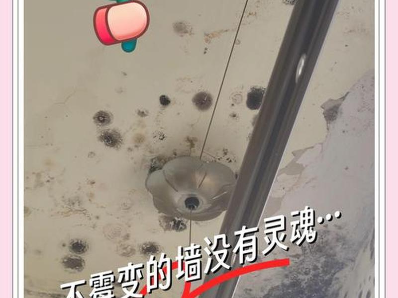 墙壁发霉怎么处理小巧、墙壁发霉怎么处理小巧一点