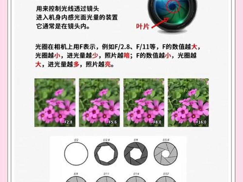 光圈效应名词解释 - 光圈效应名词解释是什么 光圈效应名词解释 - 光圈效应名词解释是什么