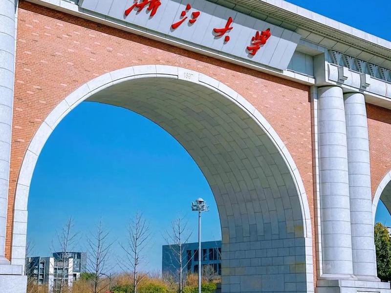 大学 大学