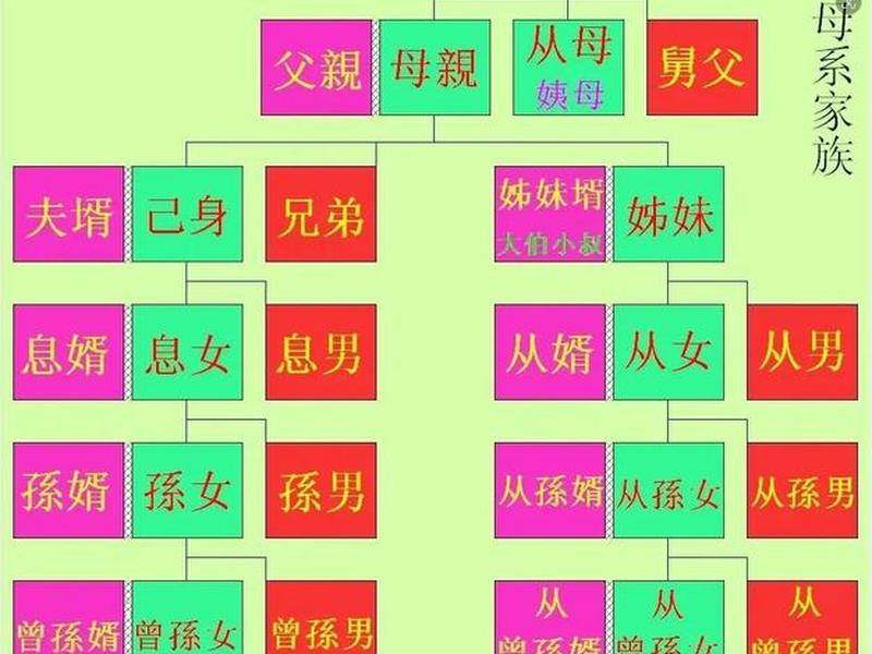 亲戚关系处理方法教程 亲戚关系处理方法教程视频 亲戚关系处理方法教程 亲戚关系处理方法教程视频