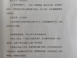 大学生经营打印餐厅的小说推荐；大学生开打印店的风险