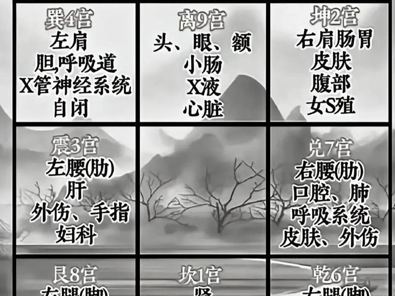 7宫代表身体部位 - 7宫代表身体部位图 7宫代表身体部位 - 7宫代表身体部位图